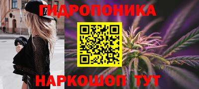 гашиш Заводоуковск
