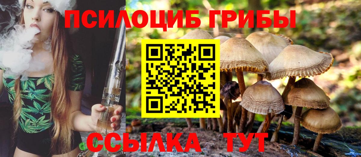 Псилоцибиновые грибы MAGIC MUSHROOMS  Вход с VPN  Галлюциногенные грибы ЛСД  Дубна 