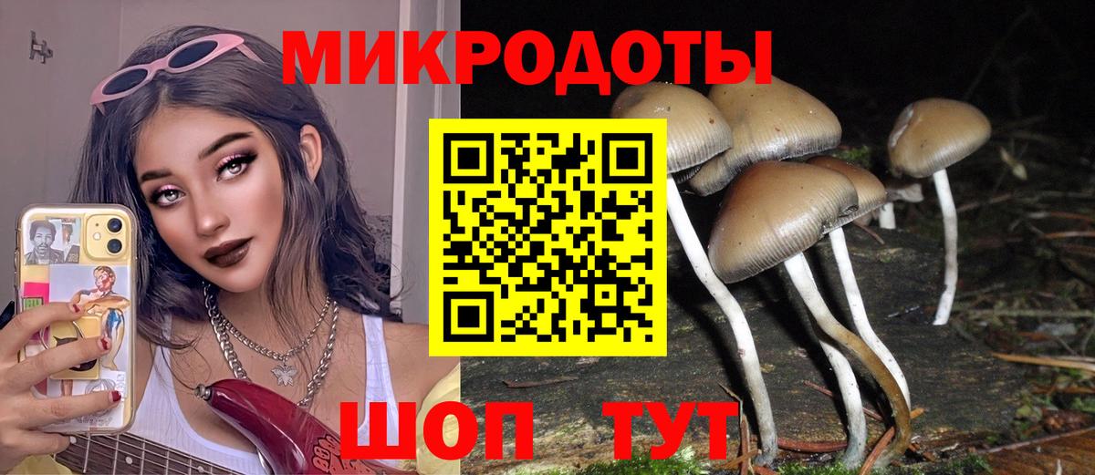 Псилоцибиновые грибы Psilocybine cubensis Дубна